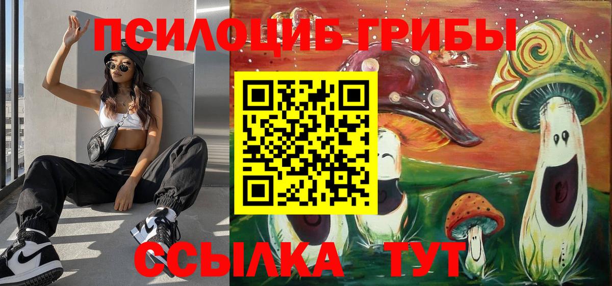 Ефремов  Галлюциногенные грибы GOLDEN TEACHER  Вход с VPN  Галлюциногенные грибы GOLDEN TEACHER 