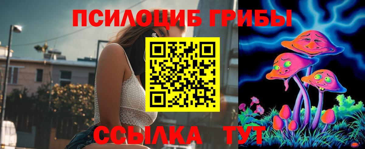  COCAIN Ефремов